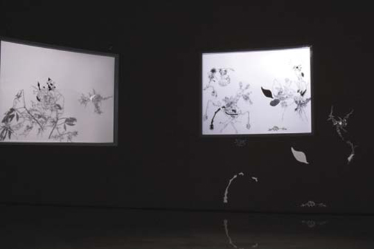 沈瑞筠，《湿地》，2010－2013年，动画装置，3分15秒