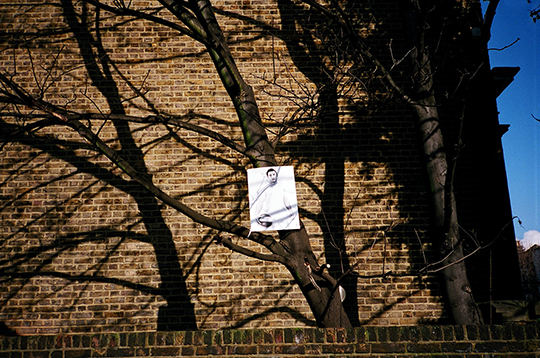 美术学院附近树上挂着的学生作品